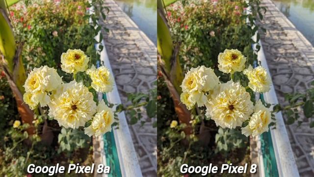 Google Pixel 8a VS Google Pixel 8 Camera Test Comparison смотреть онлайн