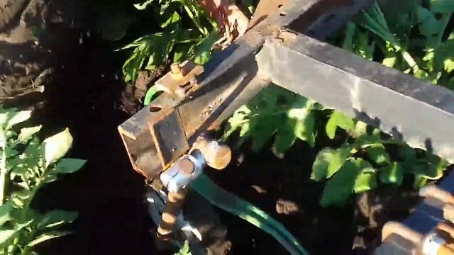 Окучивания картофеля смотреть онлайн