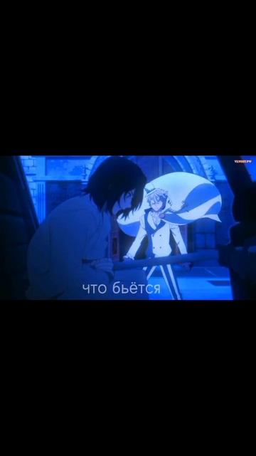 не бейте тапком #anime #edit #безхештегов #кими #рекомендации #бсд #ночь смотреть онлайн