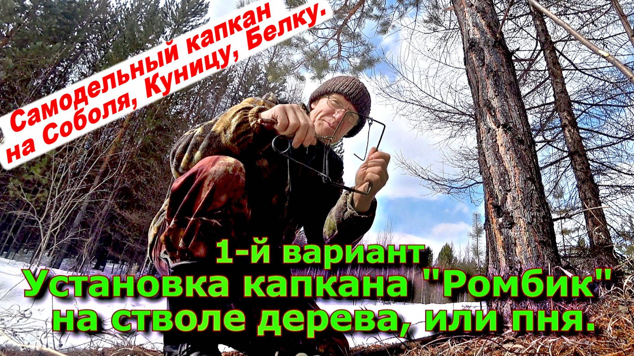 1-й вариант Установка капкана Ромбик на стволе дерева или пеньке. смотреть онлайн