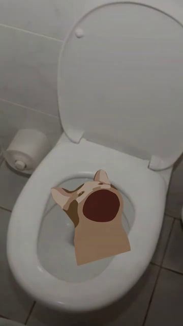 я не умру в туалете смотреть онлайн