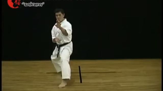 36  Джуджи гата сото уке, мае гери ура