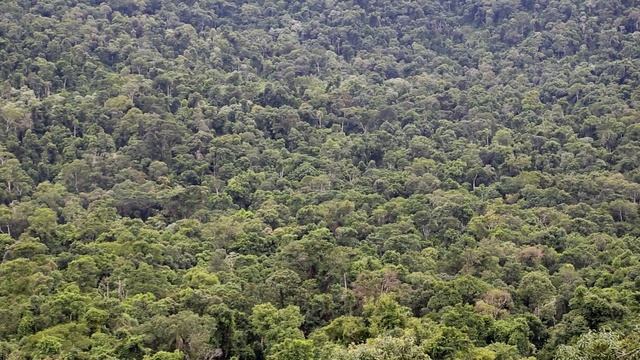 Con mi mate, mi poncho y mi charanguito - Revolución Charango - Boris Choquet смотреть онлайн