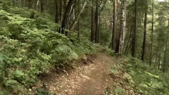 Бобровый лог, трасса №8, сложность уровня синяя. смотреть онлайн