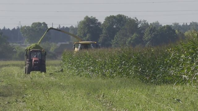 Сельскохозяйственные работы на полях Солигорщины продолжаются смотреть онлайн
