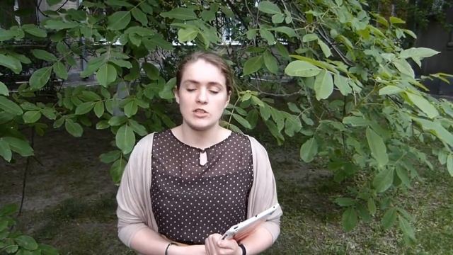 canschool net Учеба продолжается! смотреть онлайн