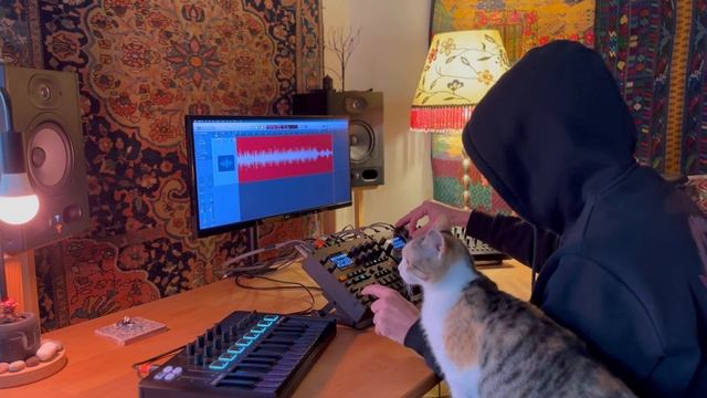 Digitone II & Digitakt II - IDM Electronica jam смотреть онлайн