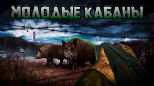 STAY OUT ФАРМ КАБАНЫ | ЗАРАБОТОК НА САЛЕ, ШКУРАХ КАБАНА В СТЕЙ АУТ | ФАРМ ДЛЯ НОВИЧКА