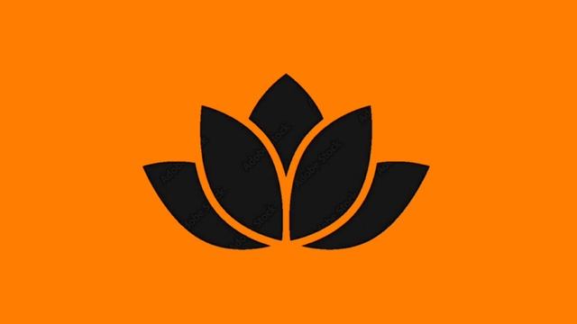 Lotus color : 05 🧡 смотреть онлайн