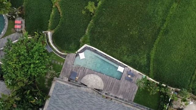 Нестандартная 3 спальная вилла с бассейном и видом на рисовые поля, Убуд смотреть онлайн