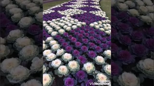 Яхши кушик Диллора Ниёзова кушиги смотреть онлайн