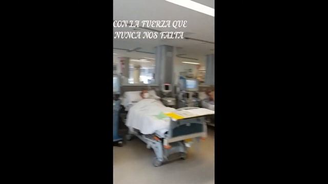 REISTIRE смотреть онлайн