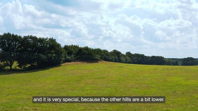 EAA 2021 Virtual Excursion: Landmarks of the North: Megalithic tombs and Bronze Age grave mounds смотреть онлайн
