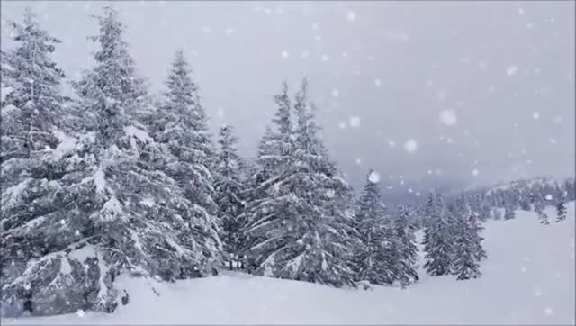 Спокойная мелодия и великолепные кадры нашей РУССКОЙ природы смотреть онлайн