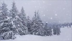 Спокойная мелодия и великолепные кадры нашей РУССКОЙ природы