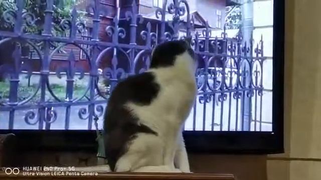 очень интересный фильм 😉 смотреть онлайн