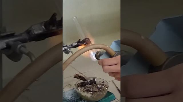 Chloristan a cukr смотреть онлайн