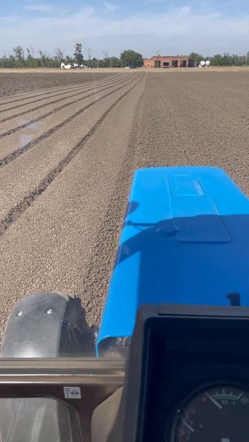 Грядки под Морковь 🥕 смотреть онлайн