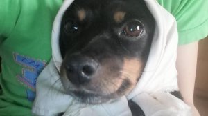 Делаю бумажные сюрпризы