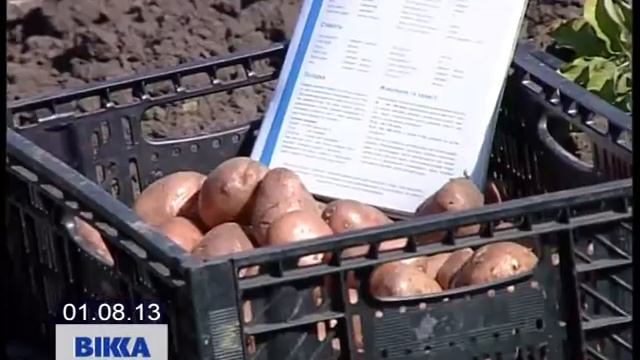 День поля смотреть онлайн