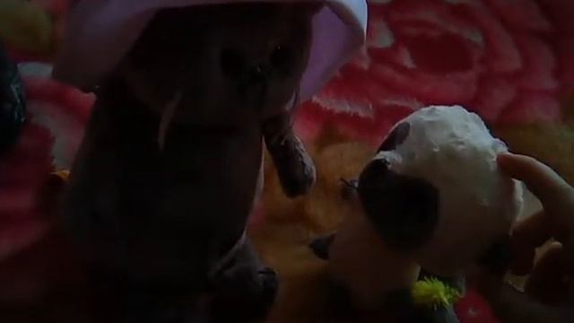 Лиля басик владик басик смотреть онлайн