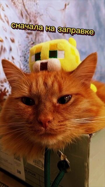 дорогие заведения