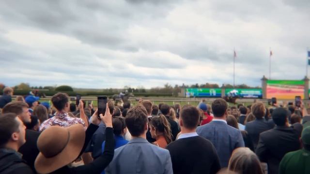 Gulfstream Park Replay Show | May 30, 2024 смотреть онлайн
