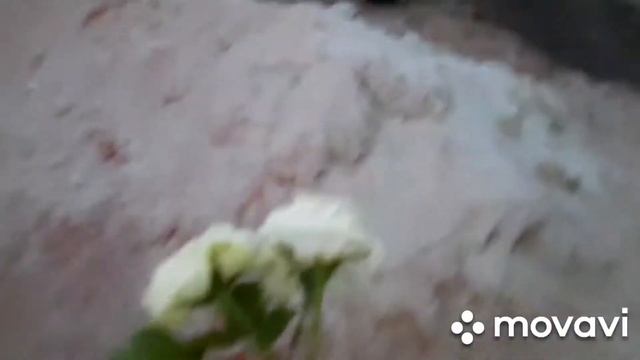 Гречка мартины смотреть онлайн