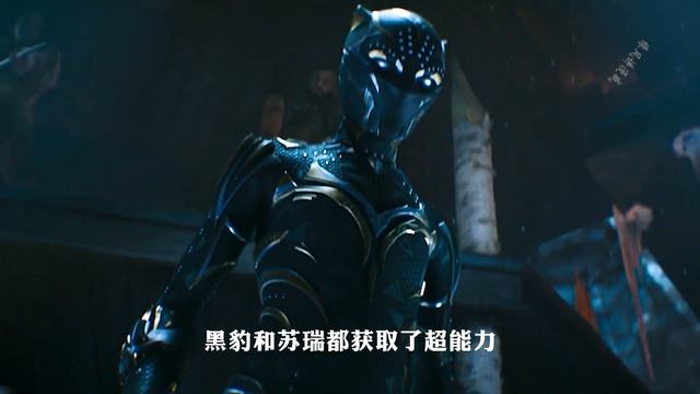揭秘：黑豹吞噬心形草见到的是祖先，为什么苏瑞见到的是金钱豹 смотреть онлайн