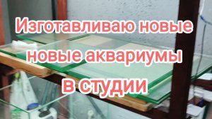 Продолжаю строить аквариумную студию в городе Курск!