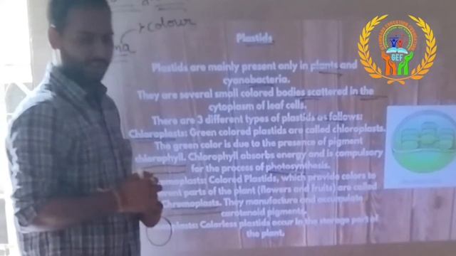 Biology topic plastid and its types смотреть онлайн