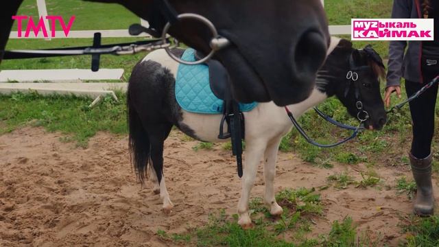 Музыкаль каймак 21.03.2025 смотреть онлайн