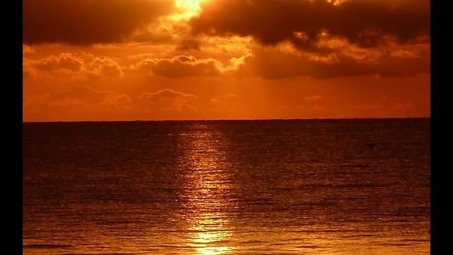 Джек Лондон. Морской Волк. Глава 12. смотреть онлайн