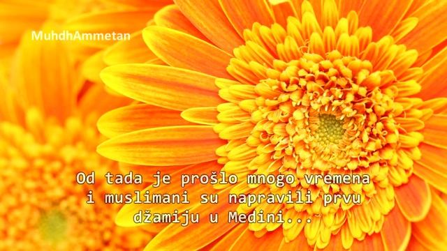 Priča o Bilalu ┇ Prvi Mujezin Islama ᴴᴰ смотреть онлайн