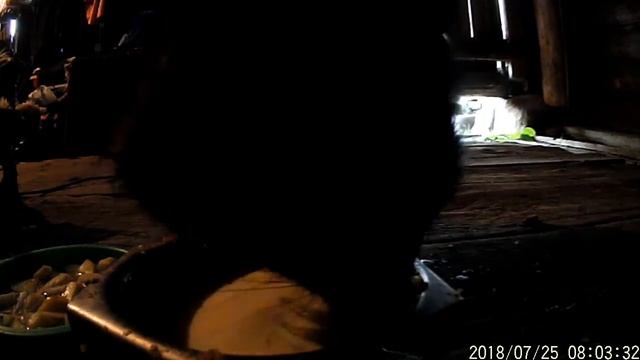 Ожидали Ёжика а Пришёл смотреть онлайн