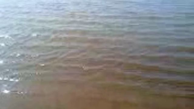 Река. Старая камера. смотреть онлайн