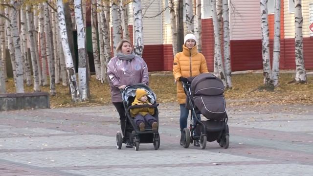 15 октября стартует перепись населения смотреть онлайн