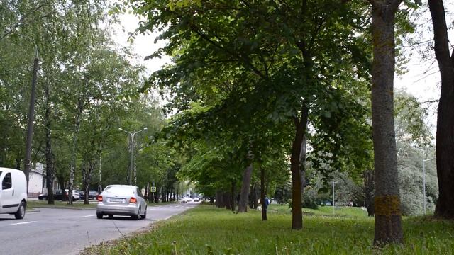 ЛЮБИЛА ПО-БЫСТРОМУ И БЕГОМ К МУЖУ. Истории из жизни. Жизненные аудио рассказы, измена жены