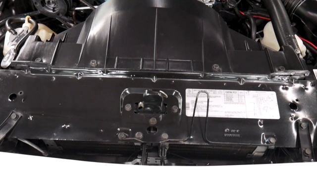 1979 Pontiac Trans AM 10th Anniversary for sale at Volo Auto Museum (V19366) смотреть онлайн