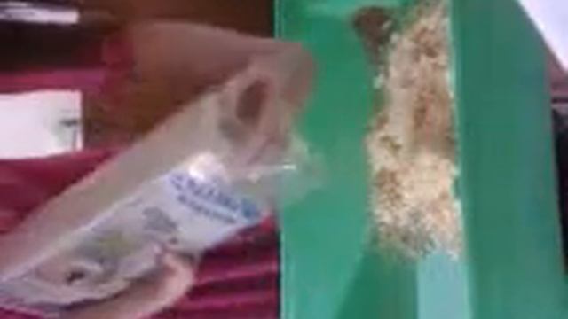 Уборка клетки смотреть онлайн