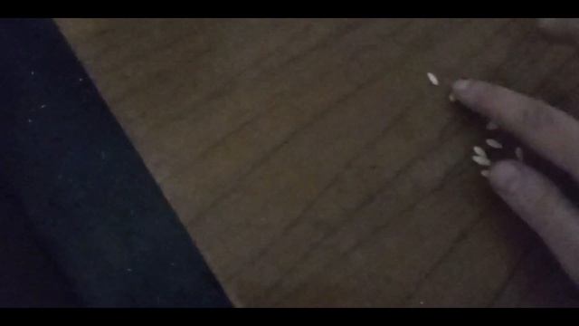Рассада огурчиков. смотреть онлайн