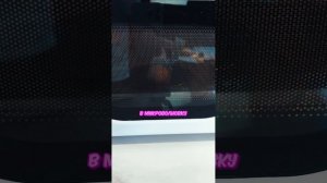 ❓️ ЧТО ВНУТРИ ТАБО ЛАПОК ❓️ #юмор #владзакроев #мама #смешнаясемейка #shorts #таболапка