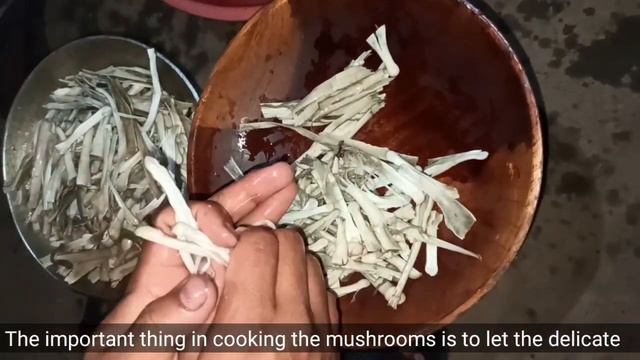 Root Termite Mushroom || Viswema || Northeast India | смотреть онлайн