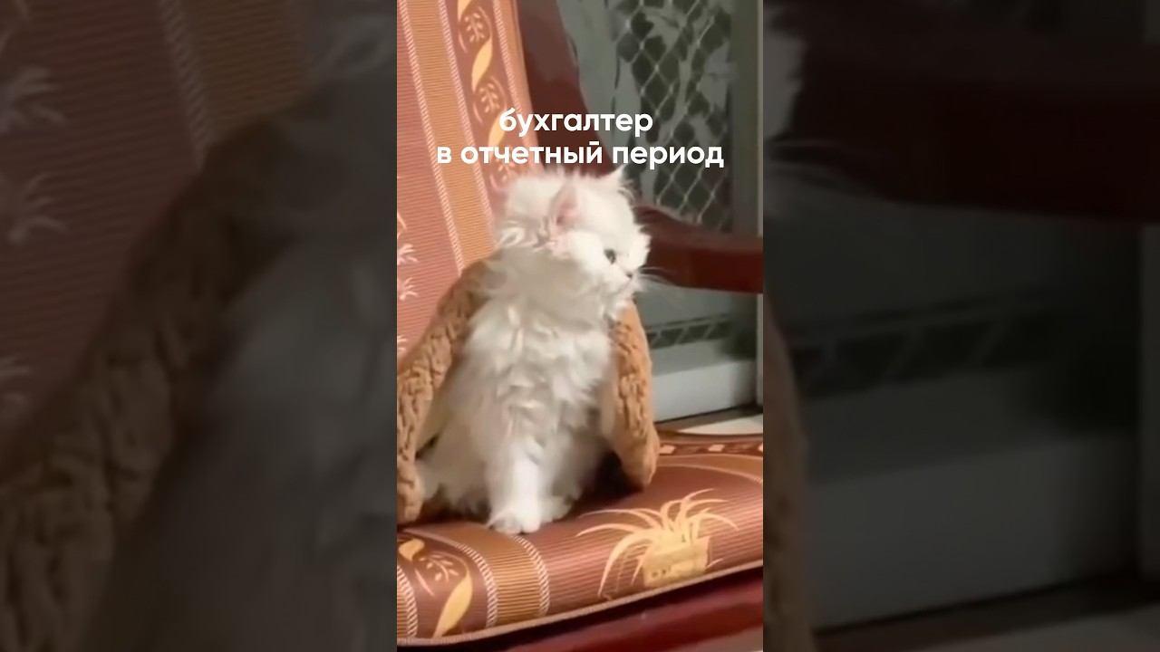 Отчетный период продолжается, не доводите своих бухгалтеров #бухгалтер #бизнес #shorts