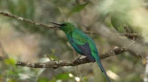 Южная Африка - Последняя граница Южного побережья-