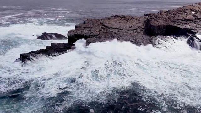 ХАЙУАНИ ӨМІР СҮРІП ЖҮРМІЗ БЕ? Арман Қуанышбаев