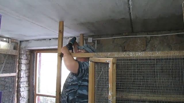 #Вольеры для попугаев. смотреть онлайн