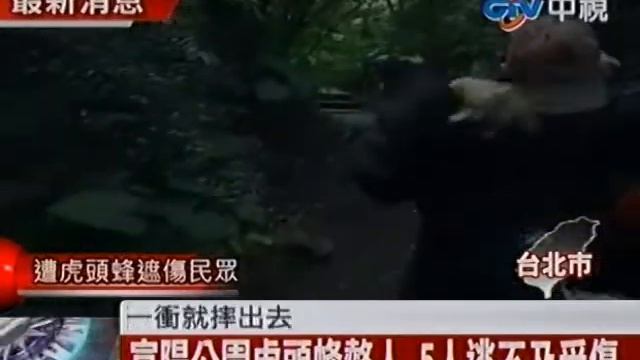 富陽公園虎頭蜂螫人 5人受傷 смотреть онлайн
