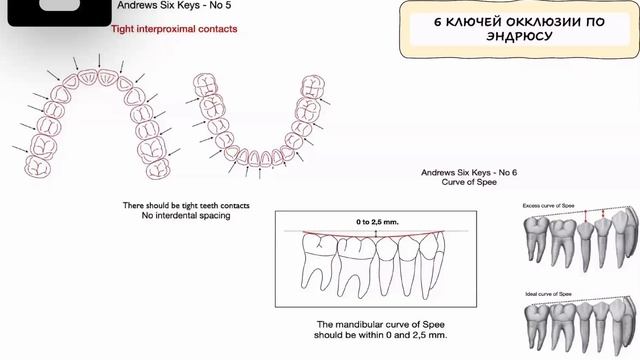 Journal club от 21.05.2024. Ортодонтия, ортопедия смотреть онлайн