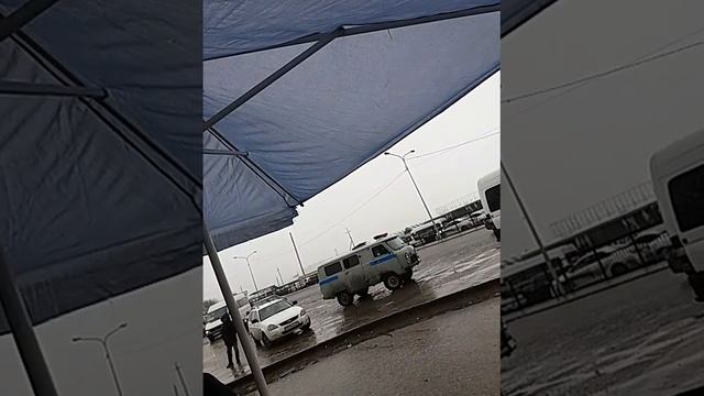 Алтын орда манайында мемлекттик кызметкерлер кужат тексериуде арине зансыз смотреть онлайн